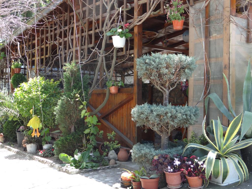 Guest House Rusalka Byala  Ngoại thất bức ảnh